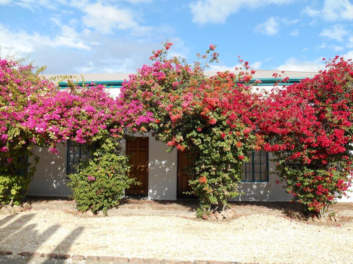 Obesa Lodge Graaff Reinet Exterior photo